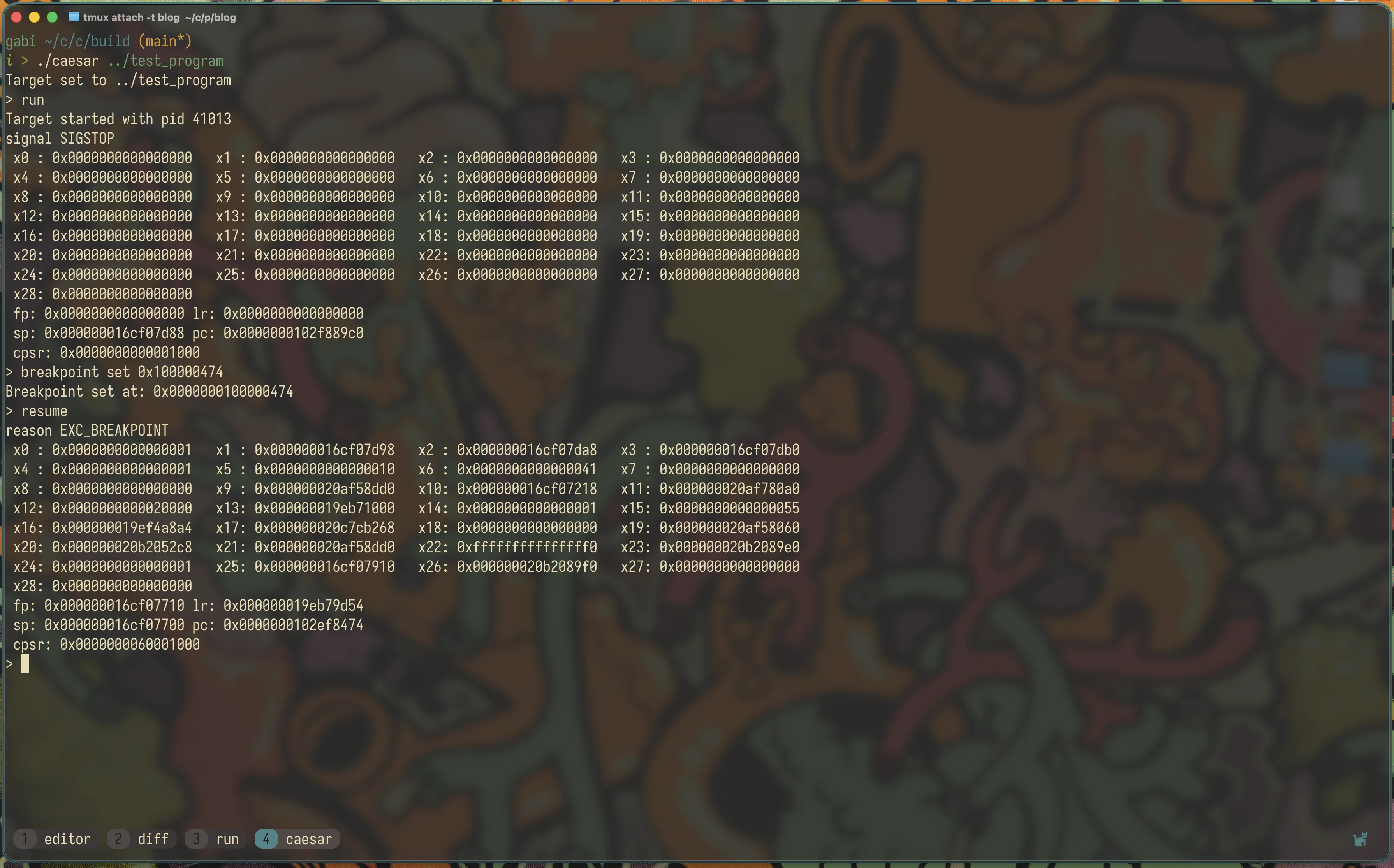 Setting a breakpoint